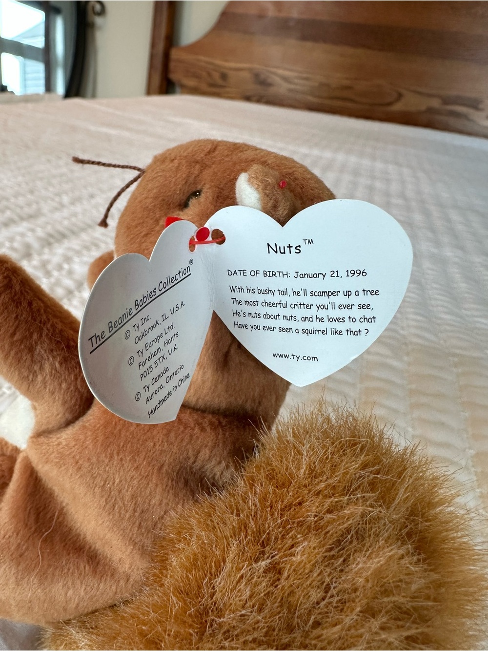 Nuts the Squirrel Beanie Baby - Picture 6 of 8